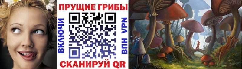 Псилоцибиновые грибы Cubensis  Билибино 